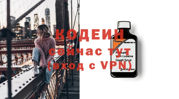 не бодяженный Алексин