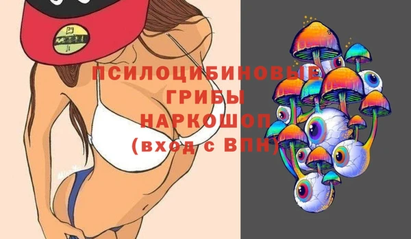 бошки Алзамай