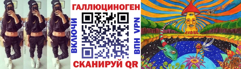 Псилоцибиновые грибы Psilocybe  даркнет сайт  Себеж 