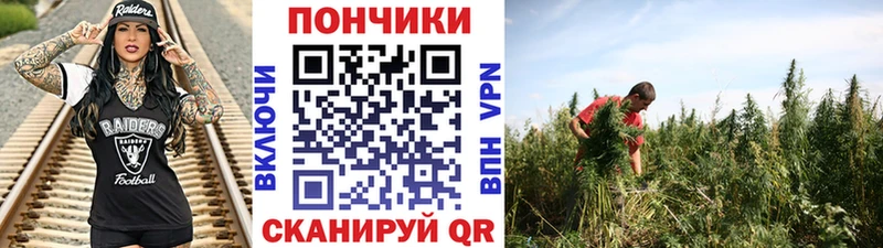 Шишки марихуана Amnesia Себеж